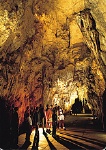 Waitomo Cave