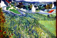 St Louis Art Museum - Van Gogh "Vineyards at Auvers"