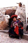 Inca Trail