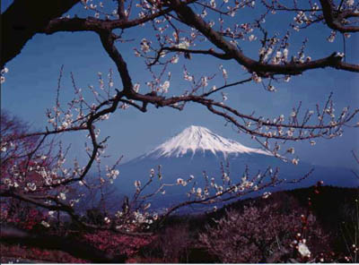 Japan:  Mt Fuji