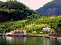 Sognefjord Town Scenes