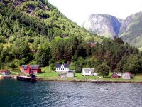 Sognefjord Town Scenes