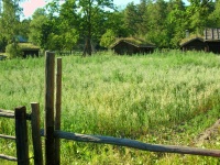 Olso - Outdoor Folk Museum