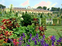 Sanssouci Palace scenes