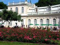 St. Petersburg PeterHof Palace Scenes