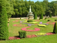 St. Petersburg PeterHof Palace Scenes