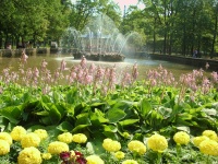 St. Petersburg PeterHof Palace Scenes