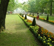 St. Petersburg PeterHof Palace Scenes